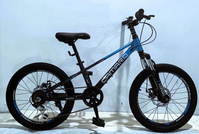 Дитячий спортивний велосипед 20" дюймів Corso «Camaro» CM-48526